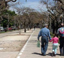 שדרות רוטשילד בתל אביב יהפכו בסופי השבוע בקיץ למדרחוב שדרות רוטשילד בתל אביב יהפכו בסופי השבוע בקיץ למדרחוב