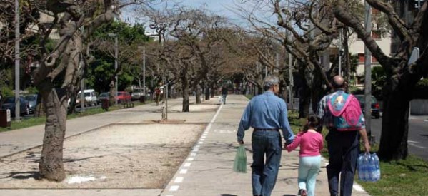 שדרות רוטשילד בתל אביב יהפכו בסופי השבוע בקיץ למדרחוב