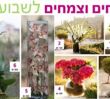 פרחים לשבועות – הזמינו זרים בעיצובים מרהיבים לחג השבועות ועיזרו לילדי זכרון מנחם לפרוח!